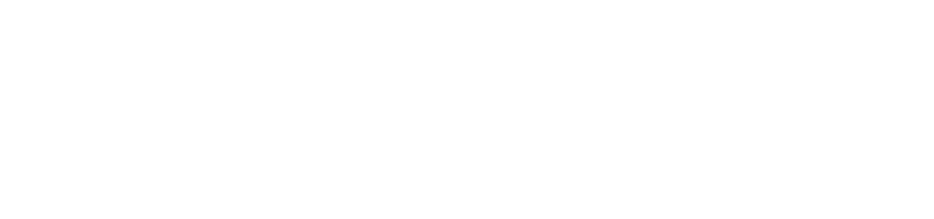 VLMS Global Logo